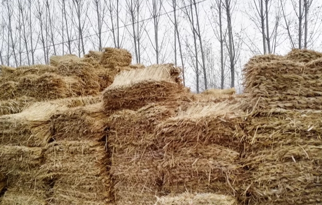 寧夏香蕉黄色软件APP廠家 寧夏香蕉黄色软件APP廠家