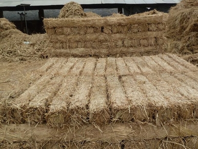 寧夏草棒子廠家 寧夏草棒子廠家