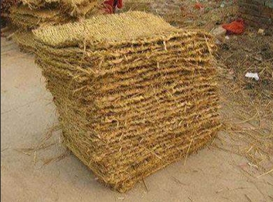 寧夏香蕉黄色软件APP 寧夏香蕉黄色软件APP