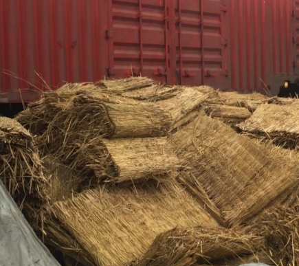 寧夏香蕉视频网站入口 寧夏香蕉视频网站入口