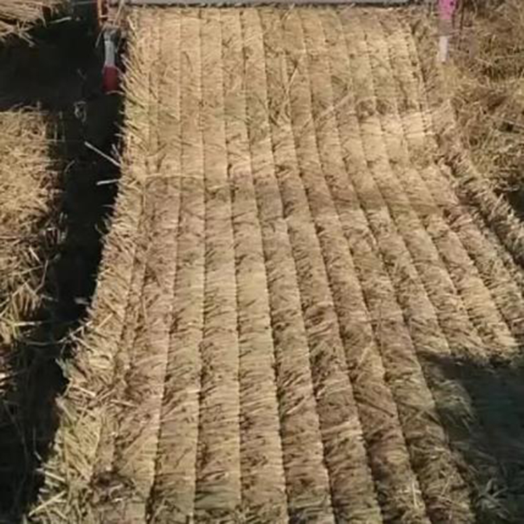 香蕉视频网站入口 香蕉视频网站入口