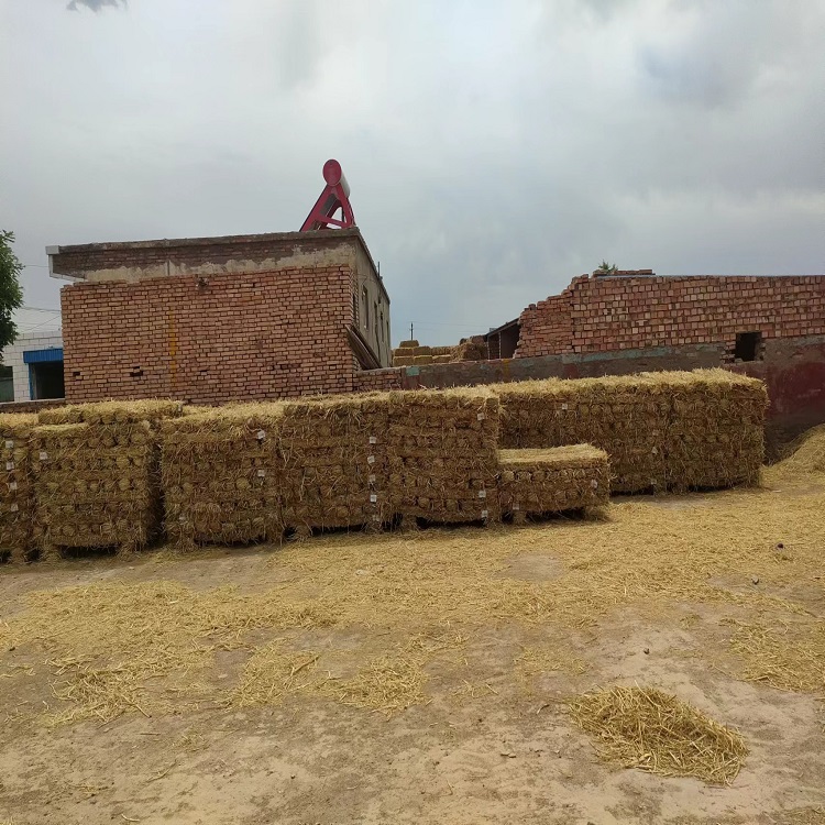 寧夏香蕉视频网站入口子 寧夏香蕉视频网站入口子