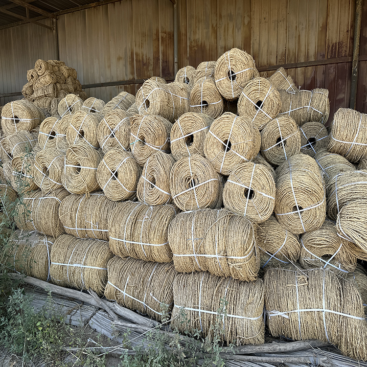 寧夏97精品人妻一区二区三区香蕉 寧夏97精品人妻一区二区三区香蕉