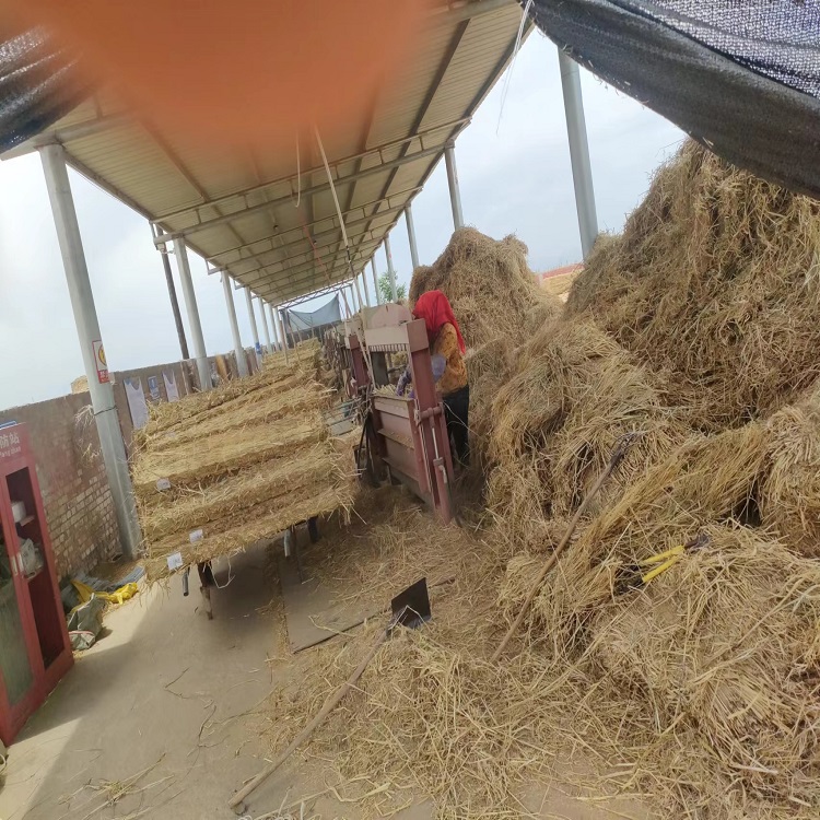 寧夏香蕉视频网站入口 寧夏香蕉视频网站入口