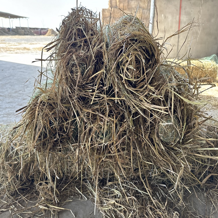 植物纖維草毯 植物纖維草毯