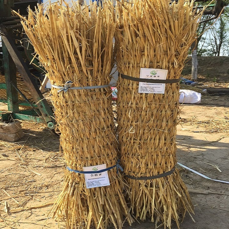 寧夏香蕉视频网站入口子 寧夏香蕉视频网站入口子