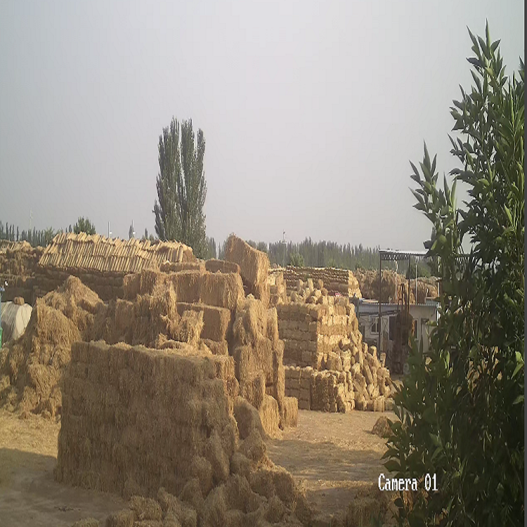 寧夏香蕉视频网站入口廠家 寧夏香蕉视频网站入口廠家